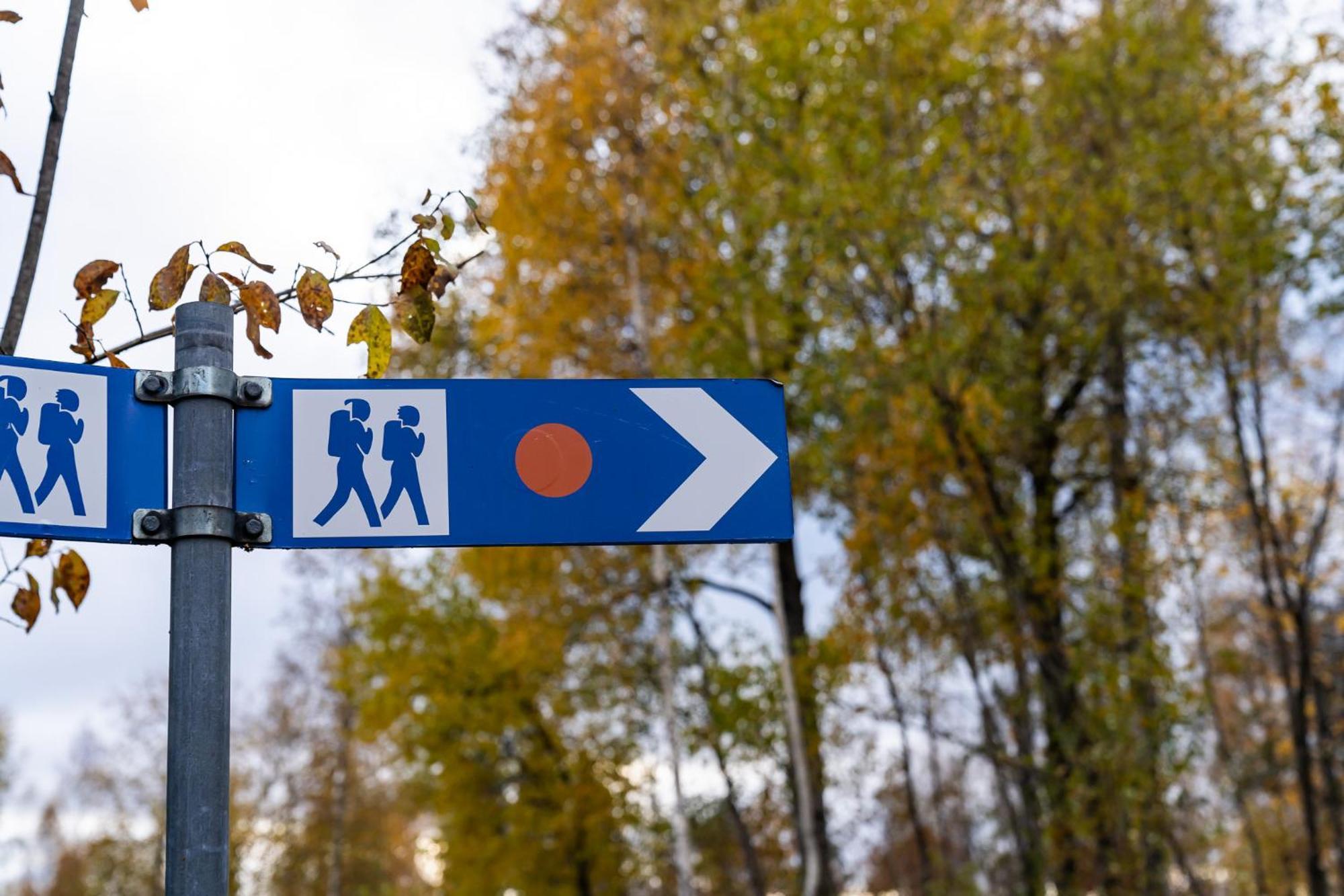 Glaskogen Apartments Glava Zewnętrze zdjęcie