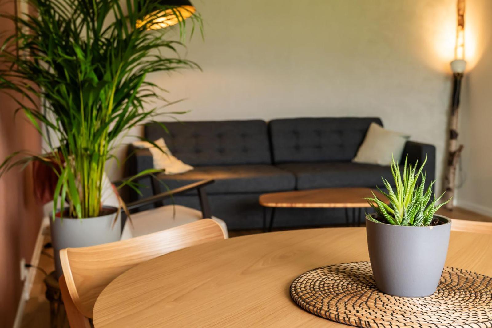Glaskogen Apartments Glava Zewnętrze zdjęcie